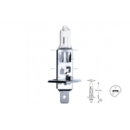 12V 55W  px26d H7 Osram