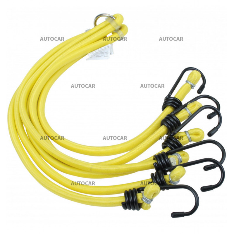 Gummispannseil Bungee - 6 strähnen / exklusive Qualität
