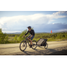 Thule Chariot Lite - Agave Thule Chariot Lite - Agave
