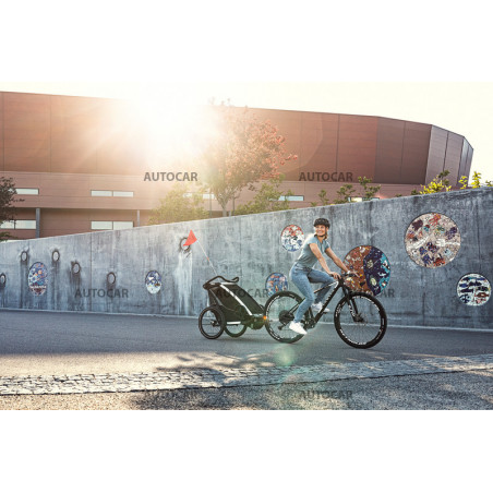 Thule Chariot Lite - Agave Thule Chariot Lite - Agave