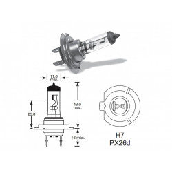 12V 55W  px26d H7 Osram