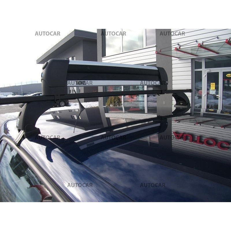 Dachträger Green Valley - Aurilis - Metall