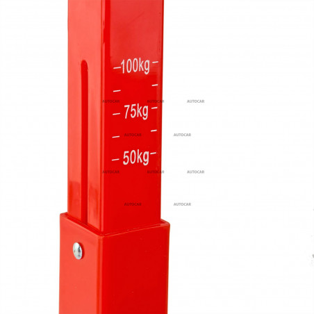 Vertikales Lastgewicht 50 - 100 kg