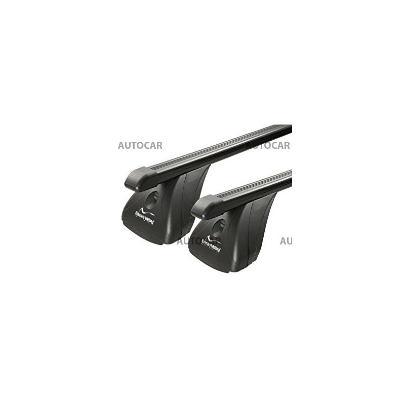 Dachträger Green Valley - Aurilis - Metall