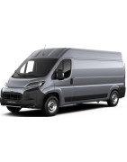 PROACE MAX