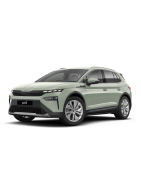 2025/ - integriertes Geländer