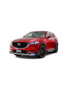 CX 5