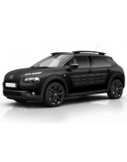 C4 CACTUS